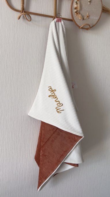 Couverture Manëlya