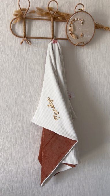 Couverture Manëlya