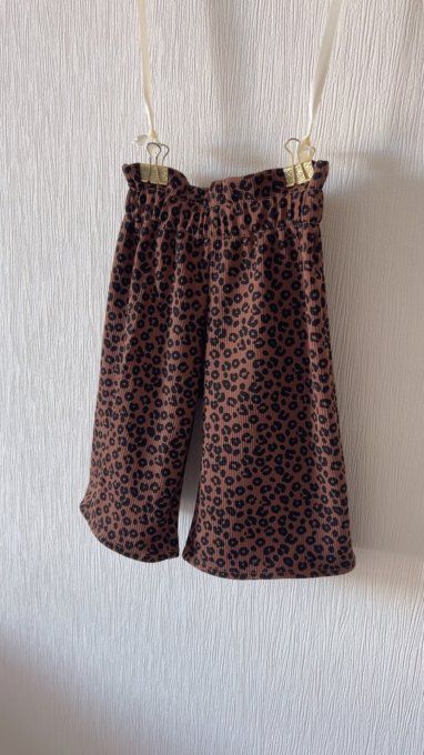 Ensemble Ava